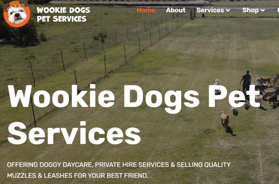 Dog daycare facilities and regulations