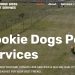 Dog daycare facilities and regulations